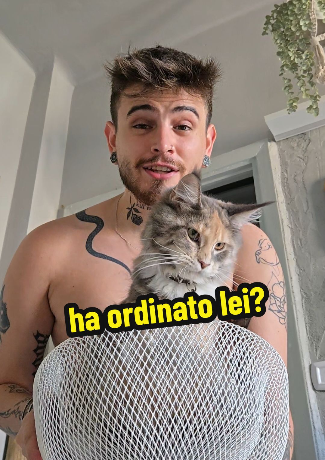 Ok, confesso, a volte mi faccio prendere la mano 😅  Diciamo che mi piace sperimentare nuovi sapori! 😋  Voi che dite, ho fatto bene questa volta? 🤔  Fatemi sapere nei commenti! 👇  #gattidivertenti #petlover #gattari 