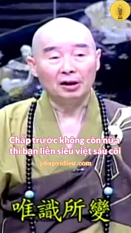 Cái gì gọi là duy thức? Trên “Kinh Hoa Nghiêm” nói cụ thể cho chúng ta nghe, “thức” chính là “vọng tưởng, phân biệt, chấp trước”. Vọng tưởng, phân biệt, chấp trước, ba loại này hiện tại chúng ta thảy đều có. Chúng ta có vọng tưởng, có phân biệt, có chấp trước, thế là pháp giới Nhất Chân này liền biến thành sáu cõi luân hồi. Nếu như trong ba loại này chúng ta đoạn một loại, trong tất cả pháp (thế gian pháp và xuất thế gian pháp) chúng ta đích thực không có chấp trước, xin nói với các vị, thì sẽ không có sáu cõi. Sáu cõi chính là chấp trước biến hiện ra, chấp trước không còn nữa thì bạn liền siêu việt sáu cõi.  Trích trong: PHẬT THUYẾT ĐẠI THỪA VÔ LƯỢNG THỌ TRANG NGHIÊM THANH TỊNH BÌNH ĐẲNG GIÁC KINH Người giảng: Lão Pháp Sư Tịnh Không Tập 15 #vidieuphap #phapsutinhkhong #hoathuongtinhkhong #daophat #phatphap #tuhanh
