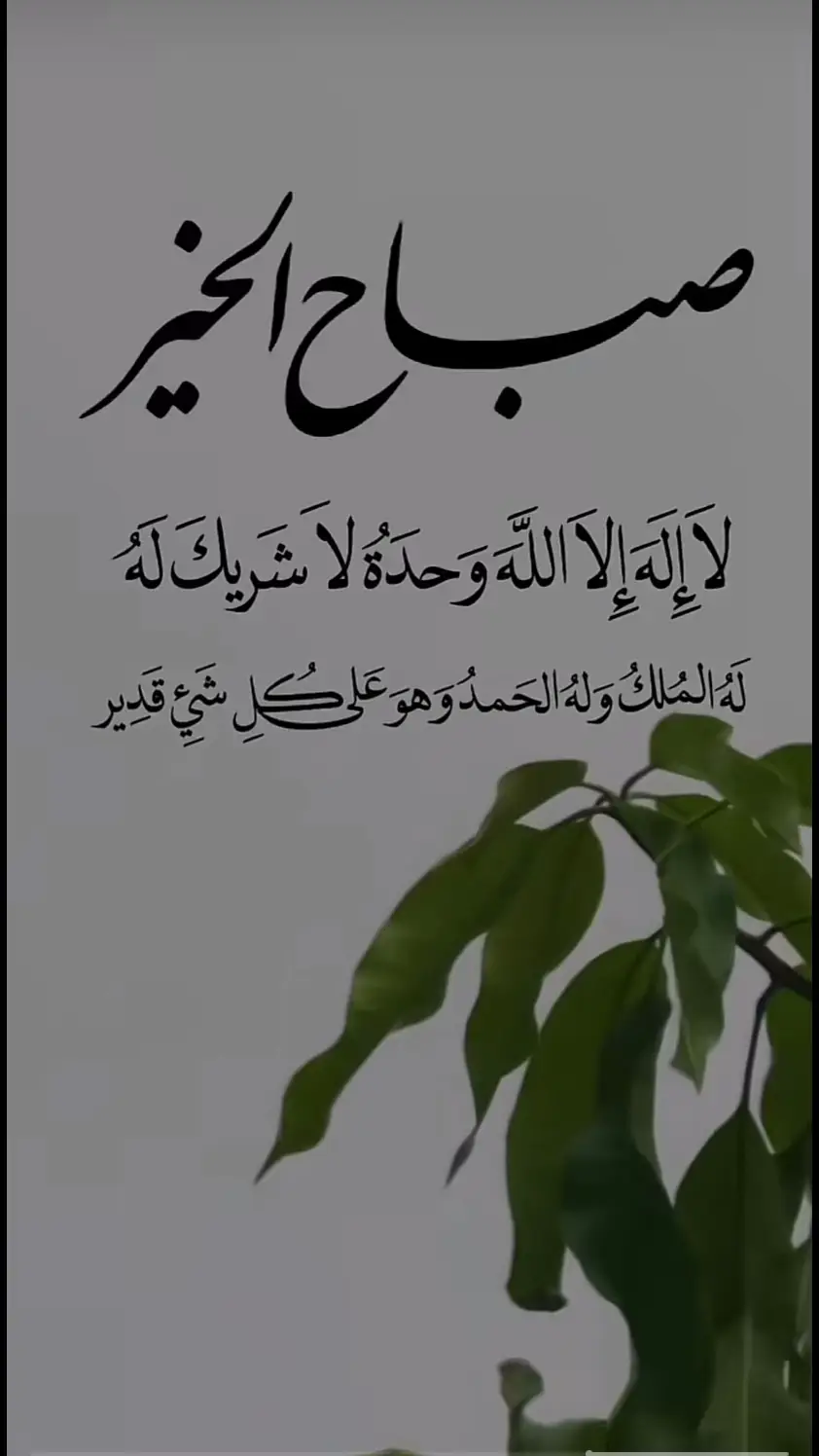 #لا_اله_الا_الله #صلوا_على_رسول_الله #سبحان_الله_وبحمده_سبحان_الله_العظيم #اكسبلور_تيك_توك 