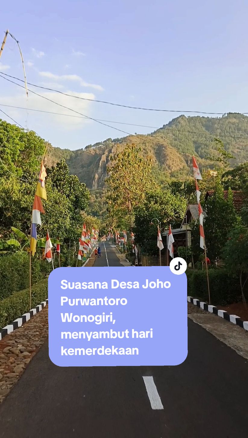 Suasana Desa Joho Purwantoro Wonogiri menyambut Hari Kemerdekaan #wonogiri #wonogiriviews #wonogiri24jam #fyp #fypシ #17agustus #desajoho #purwantoro  #kemerdekaan #indonesia 