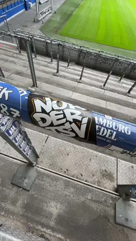 nur der TSV 🖤💛 #foryoupage #volksparkstadion #tivoli #atsv 