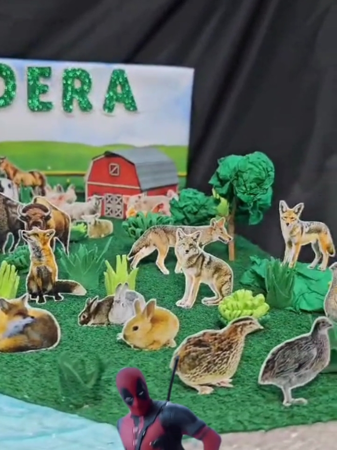 maqueta pradera #biomas #pradera #escolar #animales #maqueta #aoaolibreriacreativa #encarnacion #paraguay 