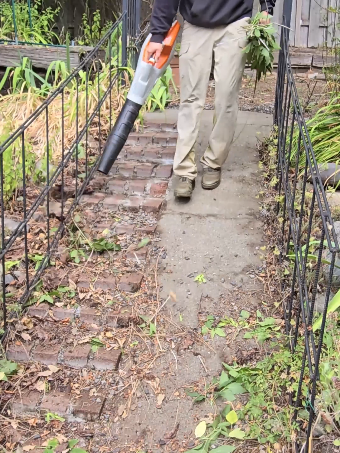 Helping Elderly Man With Yard Cleanup 🌳 #cleanup #lawncare #satisfying