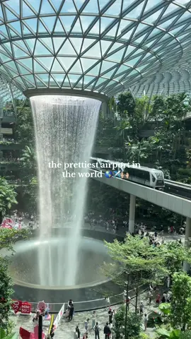 honestly, the most beautiful airport ever! Free to enter and look around, along with loads of shops and restaurants as well. Don’t miss it if you’re in Singapore 🩵🙊 #SingaporeTikTok #Singapore #travel #traveltok #changiairport 