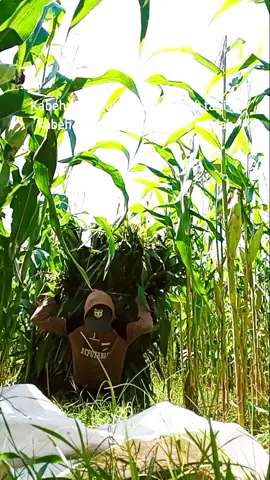 #petaniindonesia🇮🇩🇮🇩🇮🇩🌿🌿 #petanimuda #peternakmudaindonesia🇮🇩🇮🇩🇮🇩 #sobatngaret #semangat #jawapride #anaklanang #doaibuselamanya 