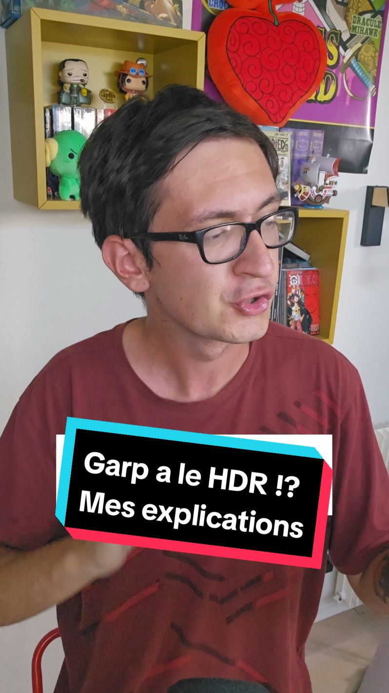 Dire que Garp a le HDR c'est insensé 👀🔥 ? #Anime #manga #onepiece 