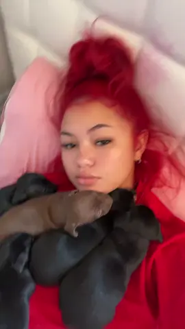 me with my dogs puppies cause she won’t go outside unless i have them😭
