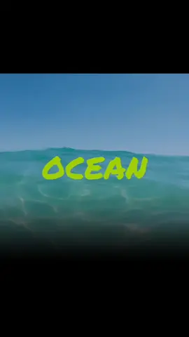 #karolg #ocean #fyp #viral #mesientograndeporti #tiktok #dedicale #dedica  . . . . . . #shadowbanned #creator #video #paratuestado #shadowban #wolrd #dedicale #dedicarvideos♡ #dedicale_aquien_amas #colombia #oceankarolg #karolgocean #anuelykarolg #karolgyanuel #juntos 