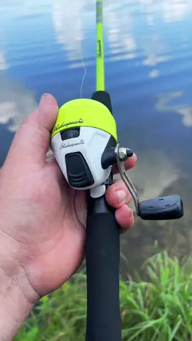 Carp fail forehead parm #fyp #catchcleanandcook #beardedfisherman #fishing #fish @Dollar Jerky Club 