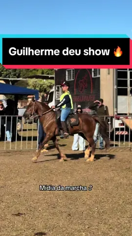 Ele deu show na pista 👏🏻🔥🚀 #cavalo #cavalomangalargamarchador #midiadamarcha #cavalocampeao #marchapicada #poeirao #peao #egua #eguamangalargamachador #marchapicada #cavalos🐴 #fyyyyyyyyyyyyyyyy #foryou 