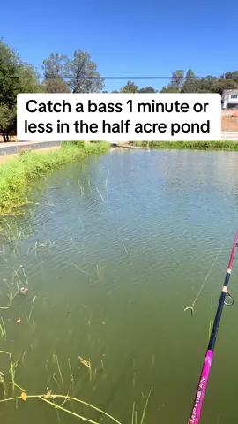 Catch a bass in 1 minute or less challenge #fishing 