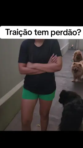 ela invadiu a casa do ex implorando pra voltar #viral #amor #notícias #vaiprofycaramba 