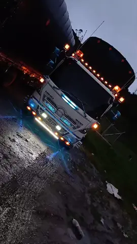 el Gomelo