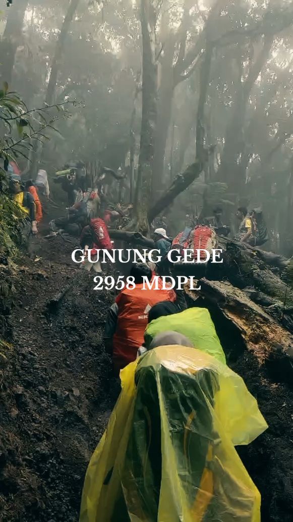 Terimakasih semuanya👣 #gununggede2958mdpl #suryakencana #minivlog #agustus #viaputri #fyp #sound #gunung #pendakian #CapCut 