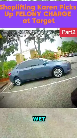 Shoplifting Karen Picks Up FELONY CHARGE at Target #part2 #cops #copsontiktok #policeofficer #flyps #usa #arresteddevelopment #viralvideo #flyps #Bodycam #foryoupage #copsoftiktok 