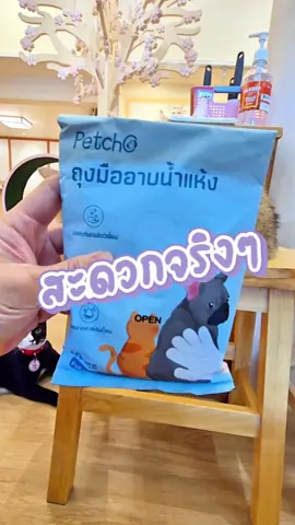 ถุงมืออาบน้ำสัตว์เลี้ยง ถุงมืออาบน้ำแห้ง สะดวกสบาย #ถุงมืออาบน้ําแมว #อาบน้ําแมว #ถุงมือทําความสะอาดขนแมว #petcho #แมวน่ารัก #แมวเหมียว #chillcatcafe #คาเฟ่แมวกรุงเทพ #คาเฟ่แมวฝั่งธน #คาเฟ่แมว #สวนสัตว์tiktok #คาเฟ่แมวโรงไม้110 #ทาสแมว #อีพ่อสามล้อ #แมว #อีพ่อแมว #อีพ่อคาเฟ่แมว #คาเฟ่กรุงเทพ  #คาเฟ่แมวดี#แมวอ้วน #แมวน่ารัก #คาเฟ่แมวหนองแขม #คาเฟ่แมวญี่ปุ่น #คาเฟ่แมวในกรุงเทพ  #แมวตัวตึง #cat #cats #cute #cutecat #catcafe #catsoftiktok #cats #catlover #แมวจรอัพเกรด #สี่ขาแสนรัก #ถ้าสัตว์เลี้ยงพูดได้ #เคล็ดลับสัตว์เลี้ยง #แมวแสนรู้  #fyp   #สามล้อพร้อมปะทะ  #เอาขึ้นหน้าฟีดที #อิพ่อสามล้อ #อิพ่อแมว #อิพ่อคาเฟ่แมว #meow #catlife #pet #pets #PetsOfTikTok #บันเทิงtiktok 