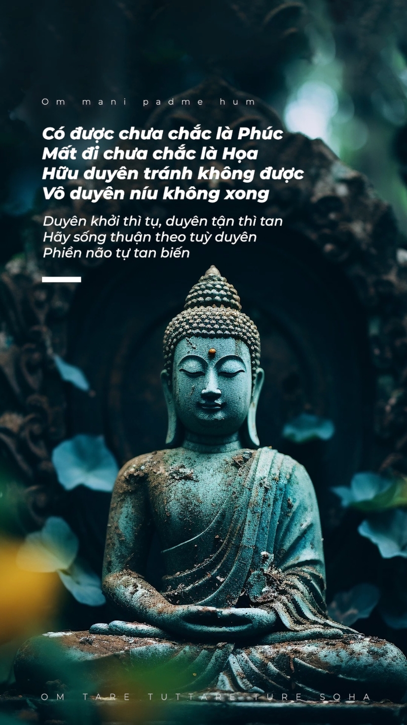 Có được chưa chắc là phúc... #phatgiao #phatphap #nammoadidaphat #buddha 