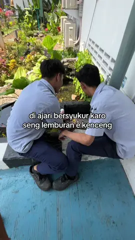 germo si penguasa fyp #4u #xyzbca #kulipabrik #kulicikarang #berandatiktok 