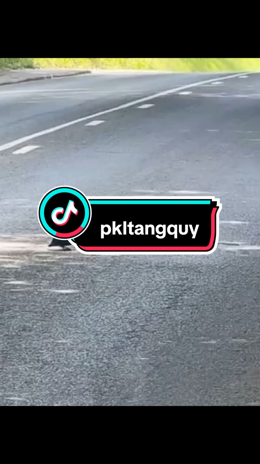 😂😂 #motogp #gsxrturbo #wsbk #xuhuong #yamaha #yamahar1m #kawasakih2 #ducaticorse #h2r #hayabusa1300 #zx10r #ducati #gsxr #ktm #bmw #cbr #drag #dragrace #turbo #honda 