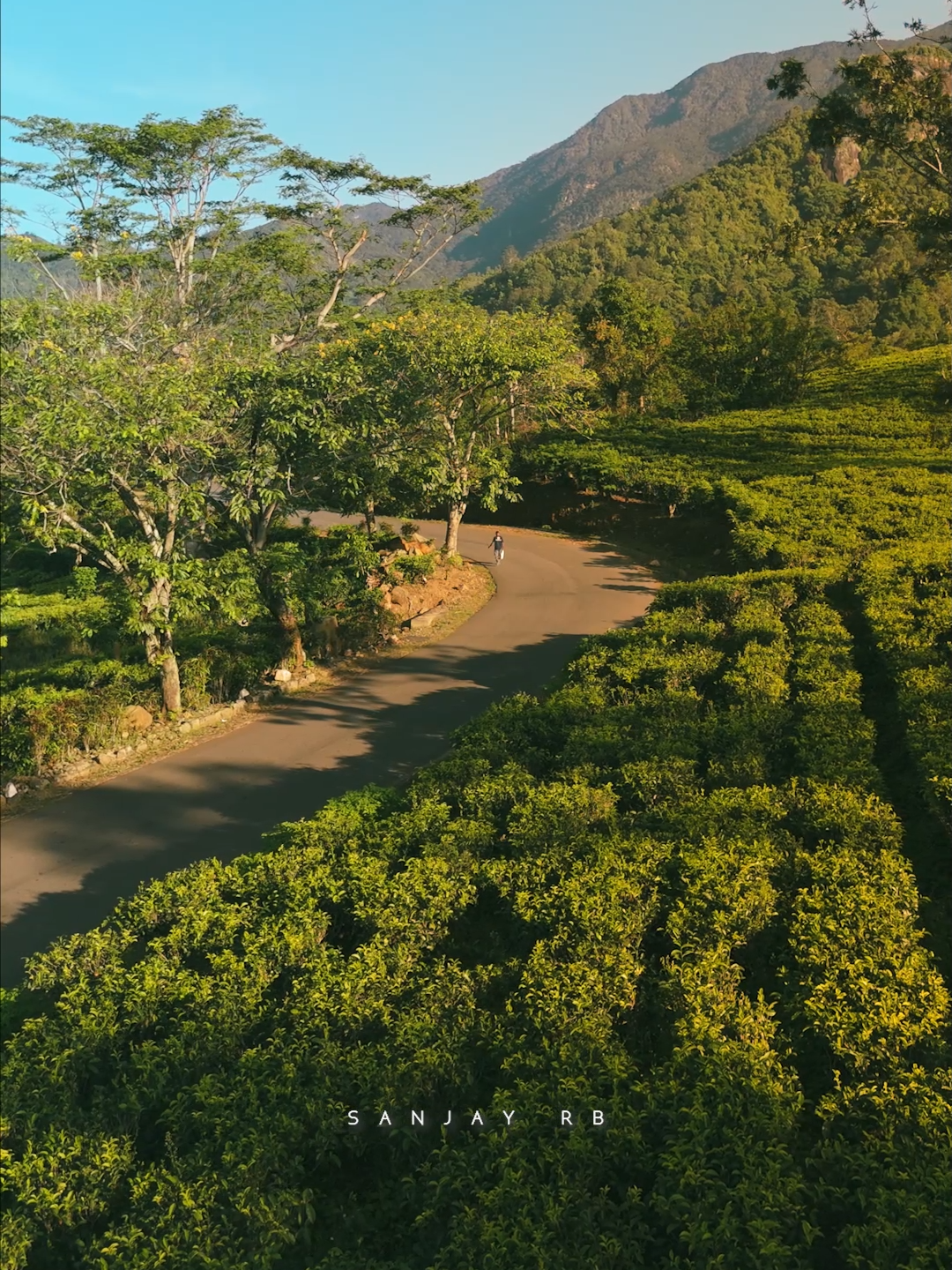 ගමට යන පාර පට්ටම ලස්සන උනාම 🥹😍 #sanjayrb #fyp #viral_video #treanding #tiktok #nature #srilanka #dronevideo #beautifuldestinations #cylon