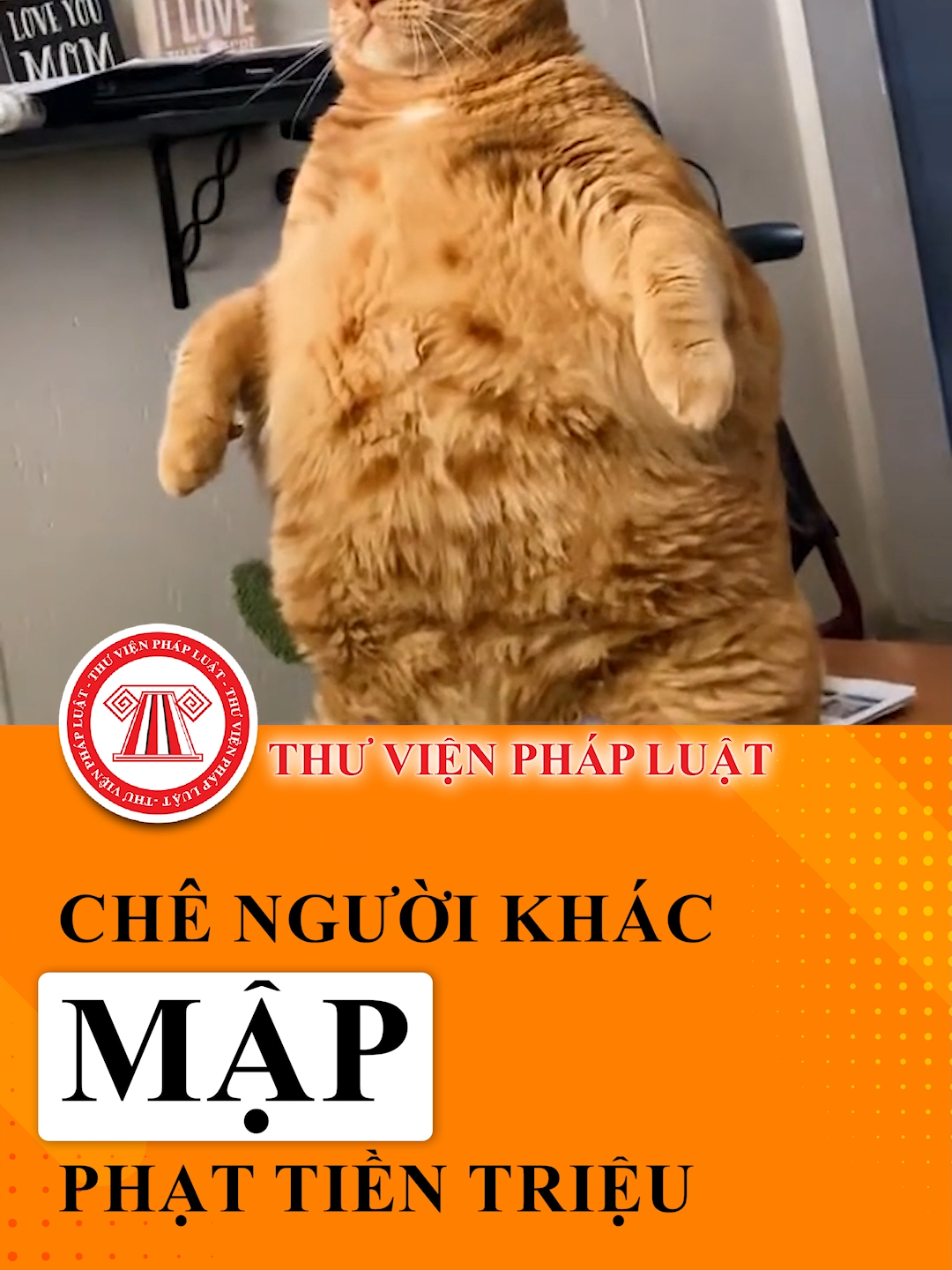 Chê người khác mập có thể bị phạt tiền triệu #TVPL #ThuVienPhapLuat #LearnOnTikTok #hoccungtiktok