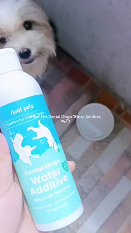 Floof Pets Dental Drops Water Additive ❤️🐶😺 tablespoon ginamit ko kasi marami water.  #furbabies #furmom #petmouthwash #shihtzu #fyp 