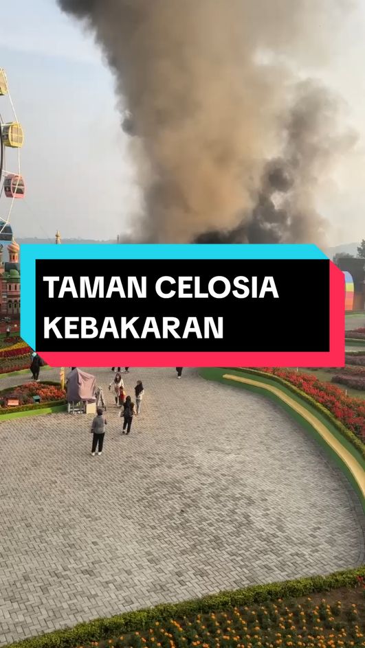 taman CELOSIA Bandungan kebakaran.tempat yg masih viral membuat para pengunjungnya panik lari setelah melihat kobaran 🔥..sampai saat ini .blm di ketahui penyebabnya #tamancelosiabandungan #kebakaran #fyp 