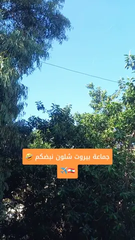 #بيروت_لبنان🇱🇧 #صبرة 