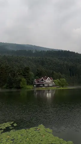 The house from “When Marnie was There” #studioghibli #marnie #whenmarniewasthere #aesthetic #aestheticvideos #turkey 