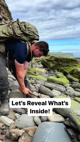 Here’s a huge stone filled with tiny Jurassic shell fossils that we found on a recent fossil hunt, the shell fossils are so intricate and have a lovely mottled shell pattern! Would you have known that they were there? 🦕🦖 We also expose a perfect Jurassic Belemnite (Squid-like creature) which was in a large loose shale slab🦑🦑 This is the ‘Belemnite Guard’, which was the tough inner part of the belemnite 🏝 The soft tissue rarely preserved properly, however many great examples have been found in other parts of the world 🌎 Thank you in advance for supporting our page! 🐊 #natural #nature #fossil #fossils #ancient #animals #art #ammonite #ammonites #dinosaur #scientist  #minerals #paleontology #whitby #geologist #dorset #geology #charmouth #jurassic #yorkshire #fyp 