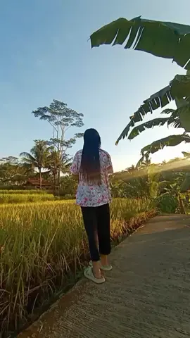 #vidioviral #fyp 