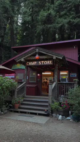 🏕️✨🪵🌙 #bigsur #camping 