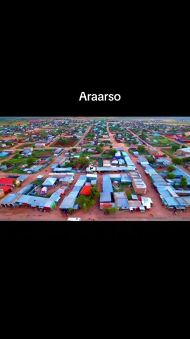 Dagamada araarso soo qabo saxbikaagii araarso 