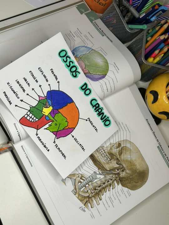 Ossos do crânio 💀#fy #fyp #fypage #estudos #estudos #study #fypシ゚viral #areadasaude #curtecomentacompartilha #global #crescernotiktok #enfermagem #mapamental #resumos #medicina #fisioterapia #esqueleto 