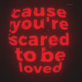 shameless - the weeknd #theweeknd #shameless #lyrics #lyricsedit #fypシ゚viral #lyrics_songs #fypツ #lyricsvideo #fypp @The Weeknd