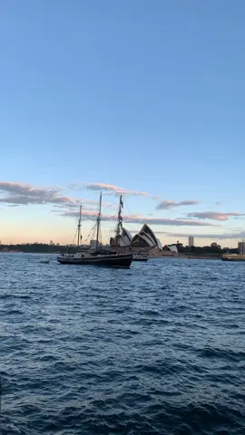 Sydney opera house #operahouse #sydneyaustralia #sydney #australia #sydneyoperahouse #boat #sail #sailing #sunset #fypシ #fyp #happylife #calmingvideos #prettyview #relaxing #ocean #sea #goodlookingview 