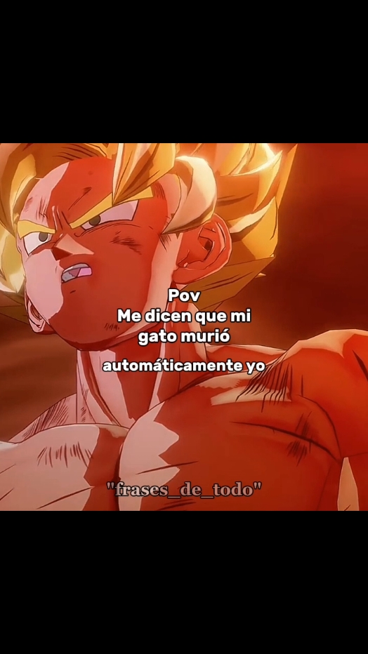 Muchos me pidieron que haga uno de gato y aquí está #goku #gokuvsfreezer #dragonball #gokusolos #namekusein #frases_de_todo #frasestristes #contenido #triste #sad #song #maldicion #gato #triste #real #povs #ponmeenparati #haganloviral #viral 