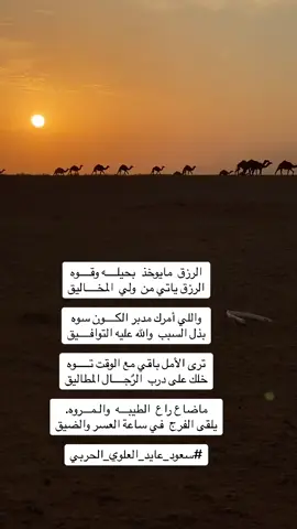 #شعراء_وذواقين_الشعر_الشعبي 