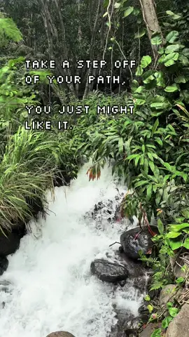 Dont get too comfortable in your comfort zone. #CapCut #maui #hawaii #hawaiitiktok #traveltiktok #quote #quotes #quoteoftheday #quotesoftheday #relaxing #jheneaiko 