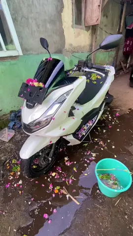 #CapCut impian 😍 #pcx160 #unboxingvideo #pcx #pcx160ล้อ17แต่งสวย #pcxindonesia #musikviral #4upage #fypシ゚viral #zyxcba #malang #pcxputih #putihbersihglowing 
