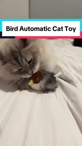 The only cat toy your cat will need!  #birdcattoy #cattoybird #automaticcattoy 