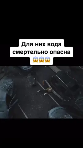 Для них вода смертельно опасна 😱😱😱