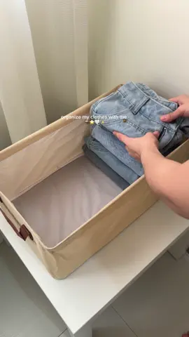 b1t1 storage box organizer for only ₱160 🤩 #storagebox #closetreset #clothesorganizer #foldablestoragebox #storageboxorganizer 