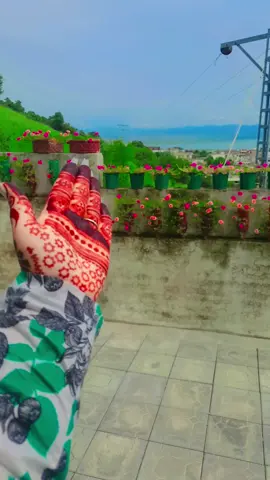 rababi malanga❤