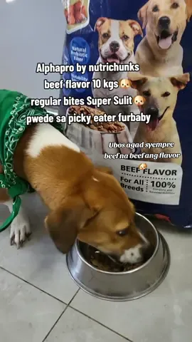 Alphapro Adult regular bites🐵Super sulit🥰🥰 pwede sa picky easter🐶 #alphapro #dog #dogfood  #fypシ゚viral #nutrichunks 