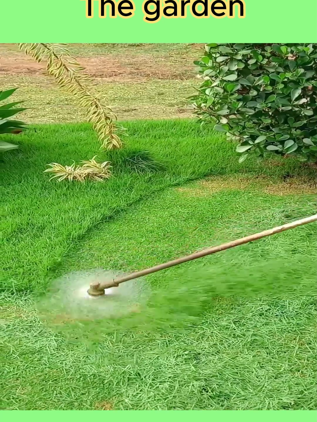 Extremely smooth and quiet grass cutting with a circular saw blade #gardening#landscaping#grass#garden #cut #lawnmower#lawntiktok#mower#cutthegrass#clearness#moving#handtools #lawnhand #mowing #fbyツviral #foreyoupage #foryou#trimmimg #working #CleanTok ##cleaning#shortvideo