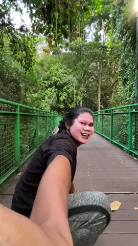 semakin ku kejar semakin kau jauh