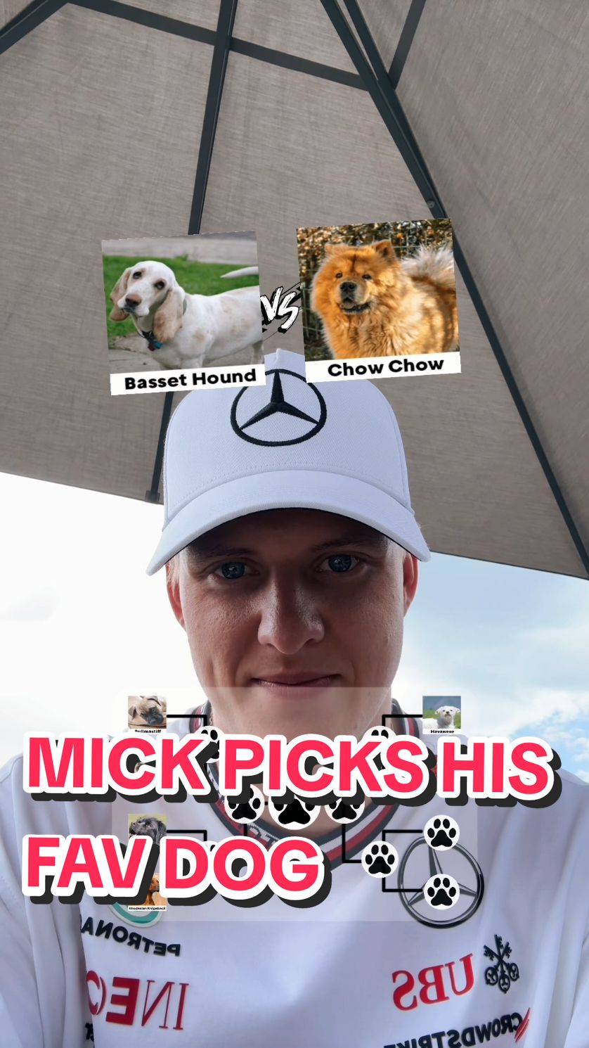 This one was toughhhhh 😮  #f1 #formula1 #mercedesamgf1 #bracket #mickschumacher #dog