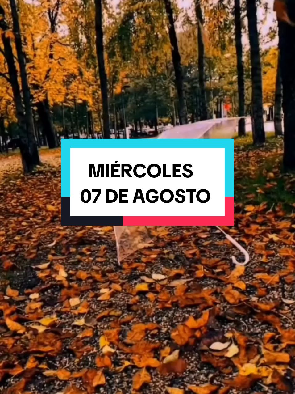 #Parati #Mensajes y Motivación #Miércoles  07 de Agosto #Oración de la Mañana #Gracias Díos por cada detalle de mi vida, por la salud que  me sostiene, por el aire que respiro 🙏❤️