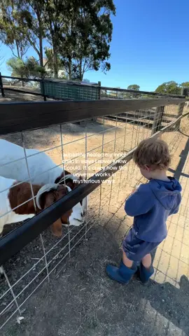 aupairing healed my inner child in ways I never knew it could. It’s crazy how the universe works in mysterious ways. #aupair #livinginaustralia #aupairaustralia #traveldiary #innerchild #travellifestyle #slowtravel #nomad #workexchange #aupairdiaries 